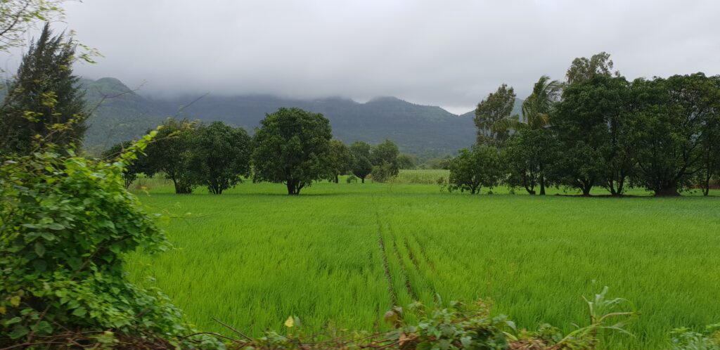 Top 5 Best Places to Visit in Maharashtra